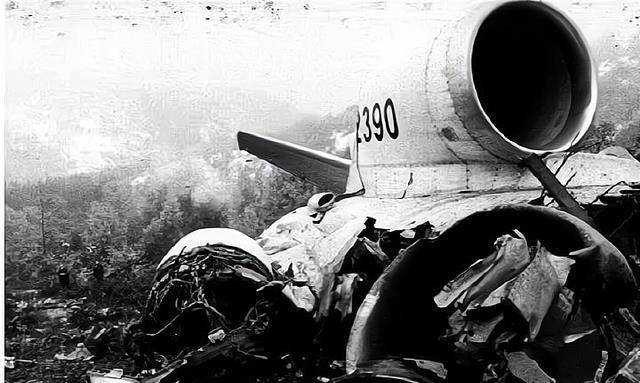 万米高空遭遇爆炸坠机,竟奇迹生还,她也成了受害者_维斯娜_飞机_空难