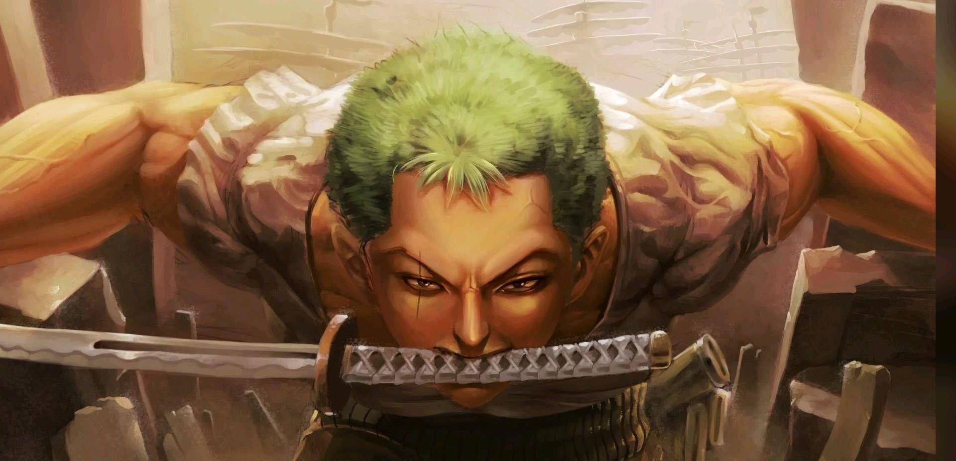 海贼王》：索隆对女人敬而远之，为何异性缘却超好？_搜狐网