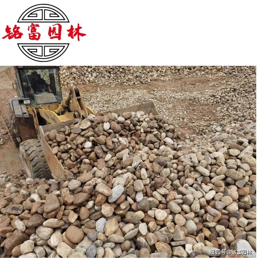 这都可以（鹅卵石价格厂家直销）这种鹅卵石一般多少钱鹅卵石价格，(图8)