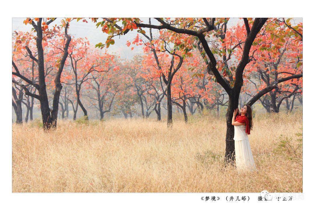 一等奖作品:5幅,二等奖作品:10幅,三等奖作品:15幅;参展的摄影作品各