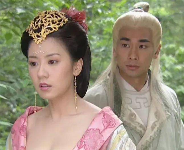 2004年,张丹露和贾静雯,赵文卓再一次合作出演古装剧《神医侠侣》中