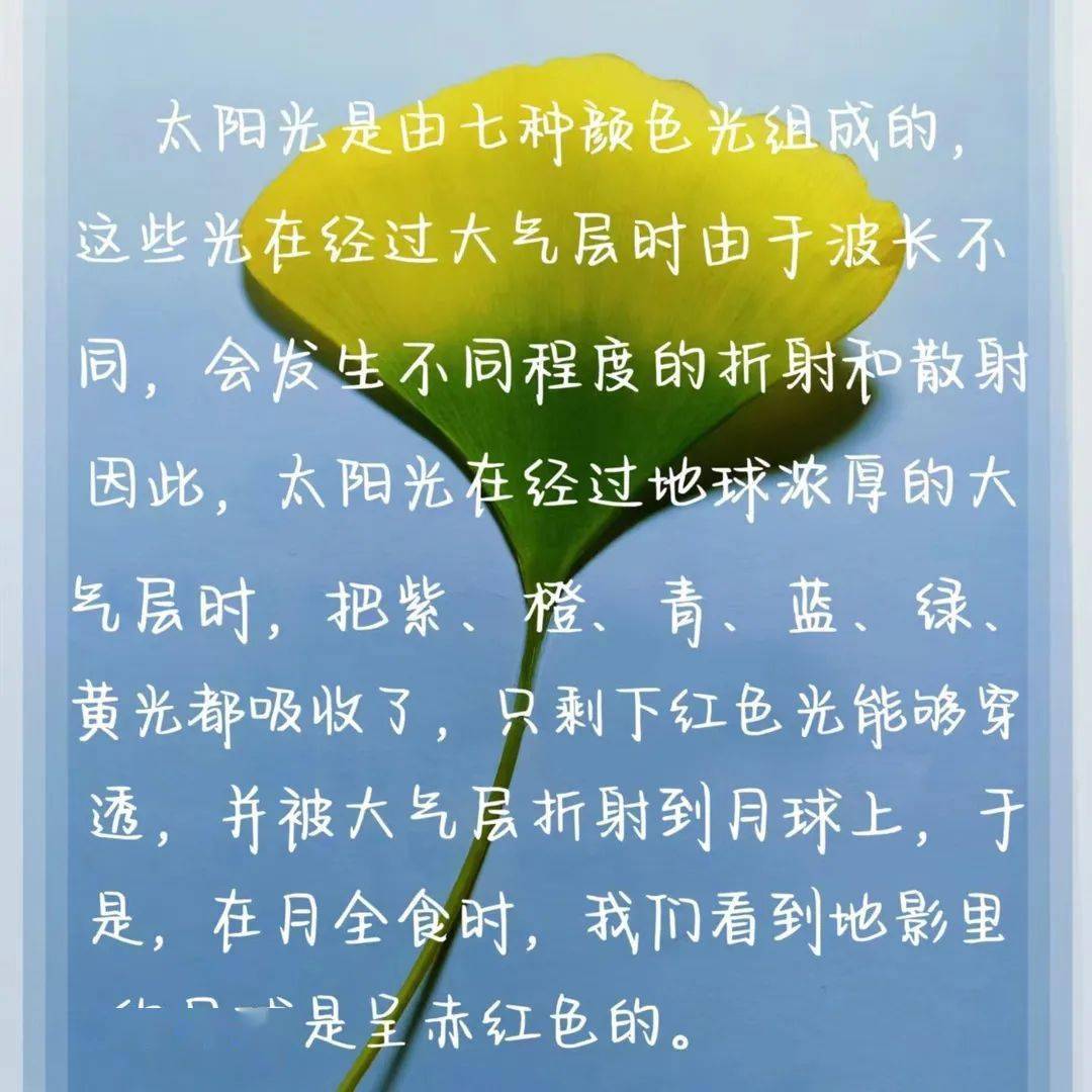 秋天落幕 | 它的表示你get到了吗？