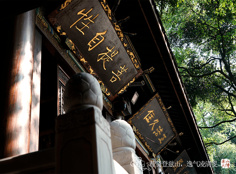 乐言乐语 | 昔贤登兹山,逸气凌清旻_乐山大佛_历史_文化
