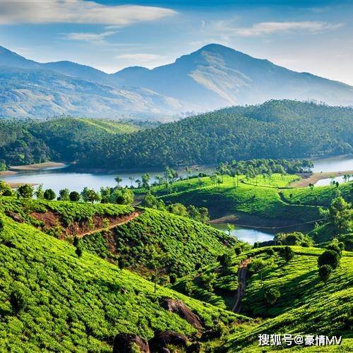 绿色草原系养心又养眼招财聚财带来好运的风景微信图片