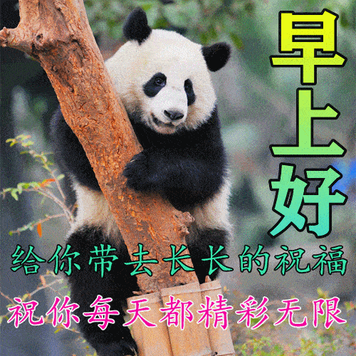 早上好短句_祝福_人生_一个人