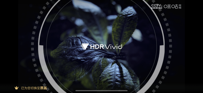 内容为王 深耕细做 HDR Vivid成就超高清视频办事新形式新契机