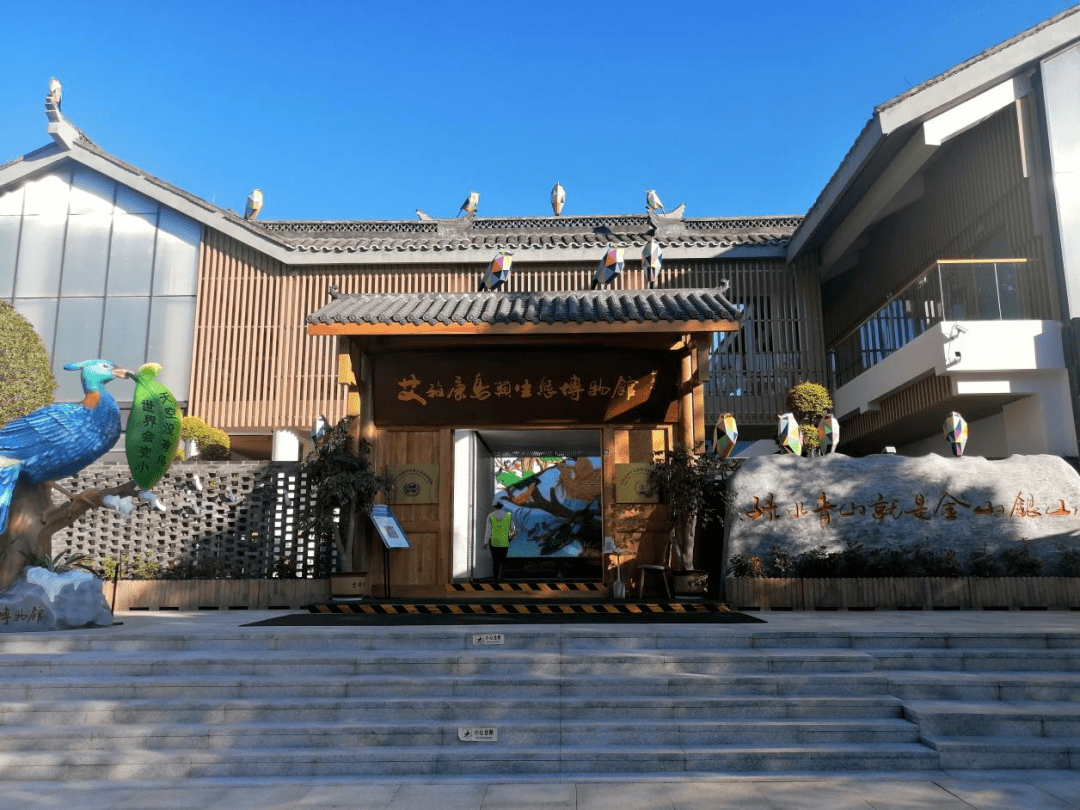 趣味研学 走进艾雅康鸟类生态博物馆_保护_邛海_西昌