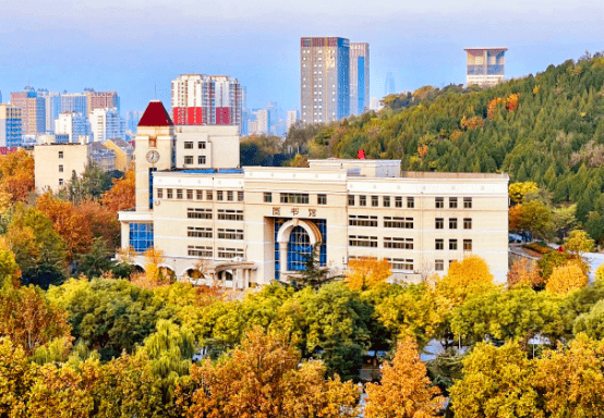 山东政法学院图书馆图片