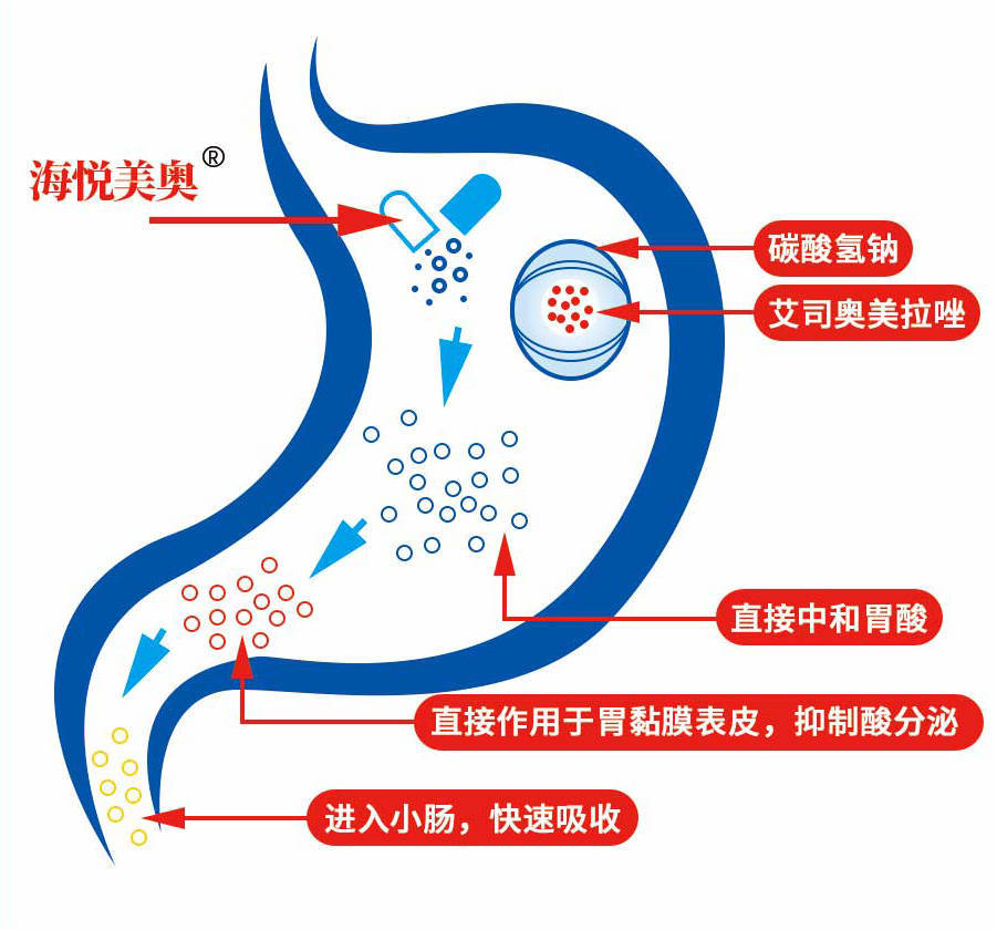 胃酸浓度,并长效降低胃内酸浓度——服药后24小时内胃内ph≥6的时长