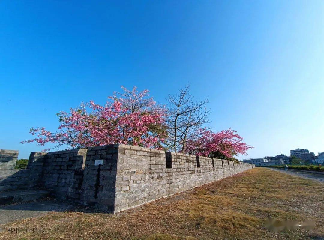 鳳塘,北堤夜市,碗窯,龍湖古寨,農家樂(大本營,坑美,白蓮,石谷新田