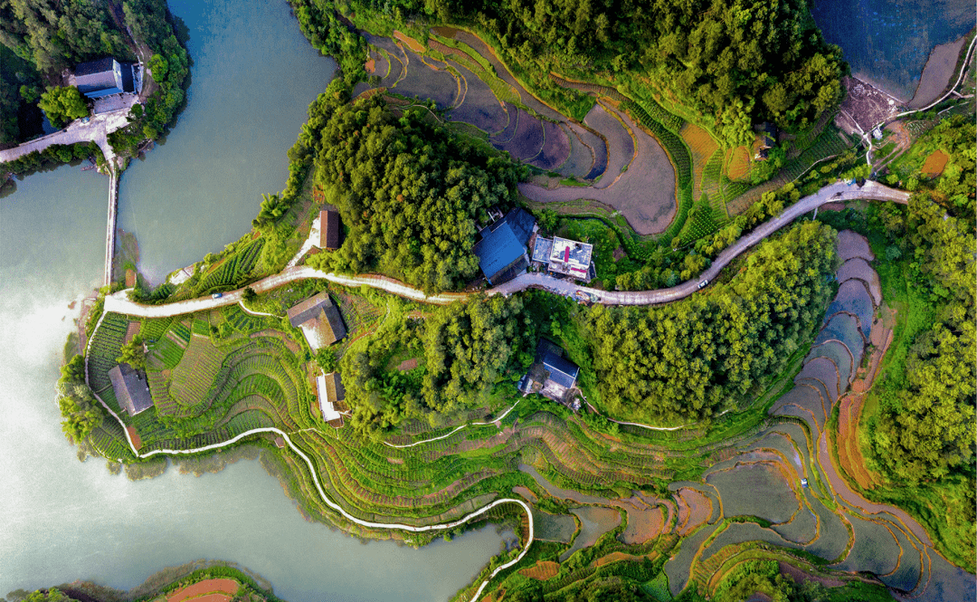 大僚湖高庙坝生态旅游景点go!go!