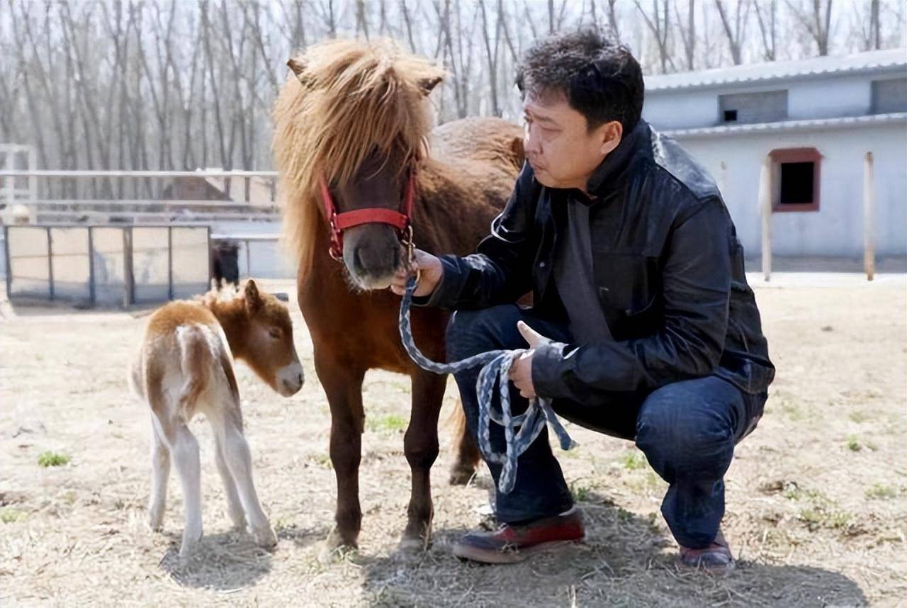 德云社最有钱的于谦:60亩动物园,养上千只动物,好友是柳传志_郭德纲