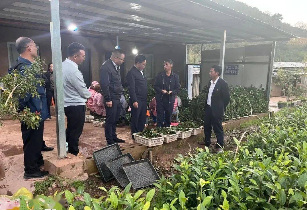 【工作动态】云龙县委书记任敏到团结彝族乡宣讲党的二十大精神_发展