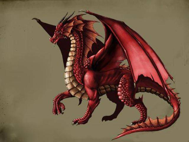 中西方龙的形象为何差距会如此大_动物_中国_神话