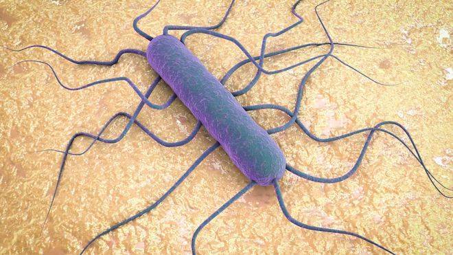 美国爆发致命的李斯特菌_患者_污染_疫情