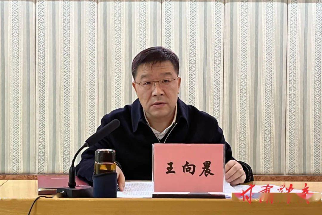 十大精神学习心得,结合本单位,本岗位对工作的思考进行了发言,王向晨