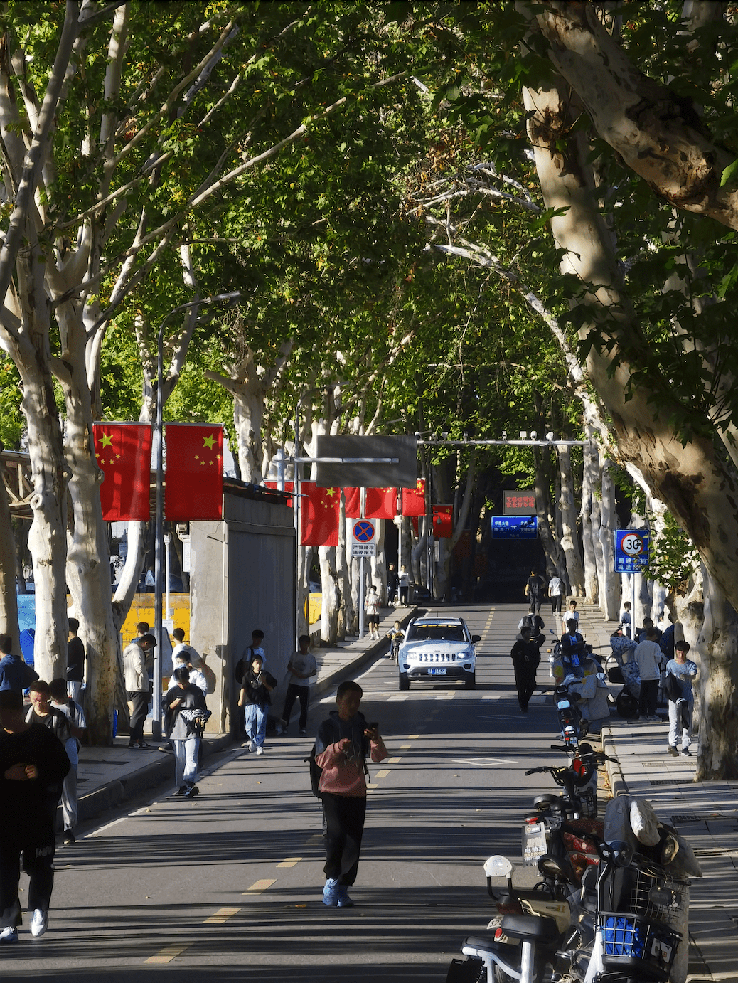 瞩目| "珞珈山坡路"二三事_武大时_活动_故事