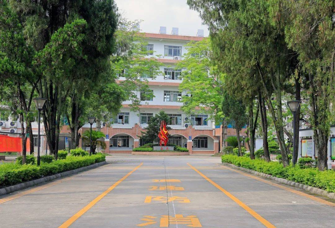 小学_改扩建_黄陂