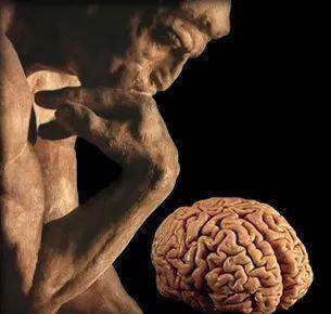 大脑“死机”的科学解释