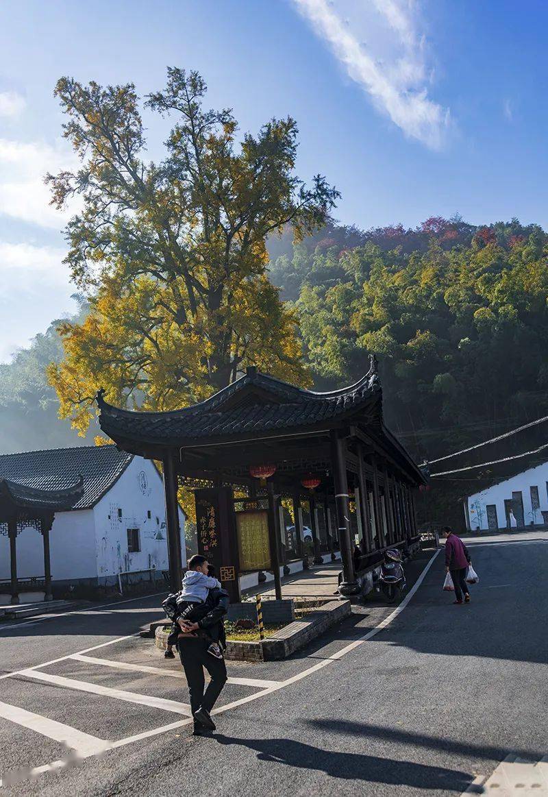 摄影:紫黄以下为广告【助农产品】送货到家 兰亭镇 土鸡蛋