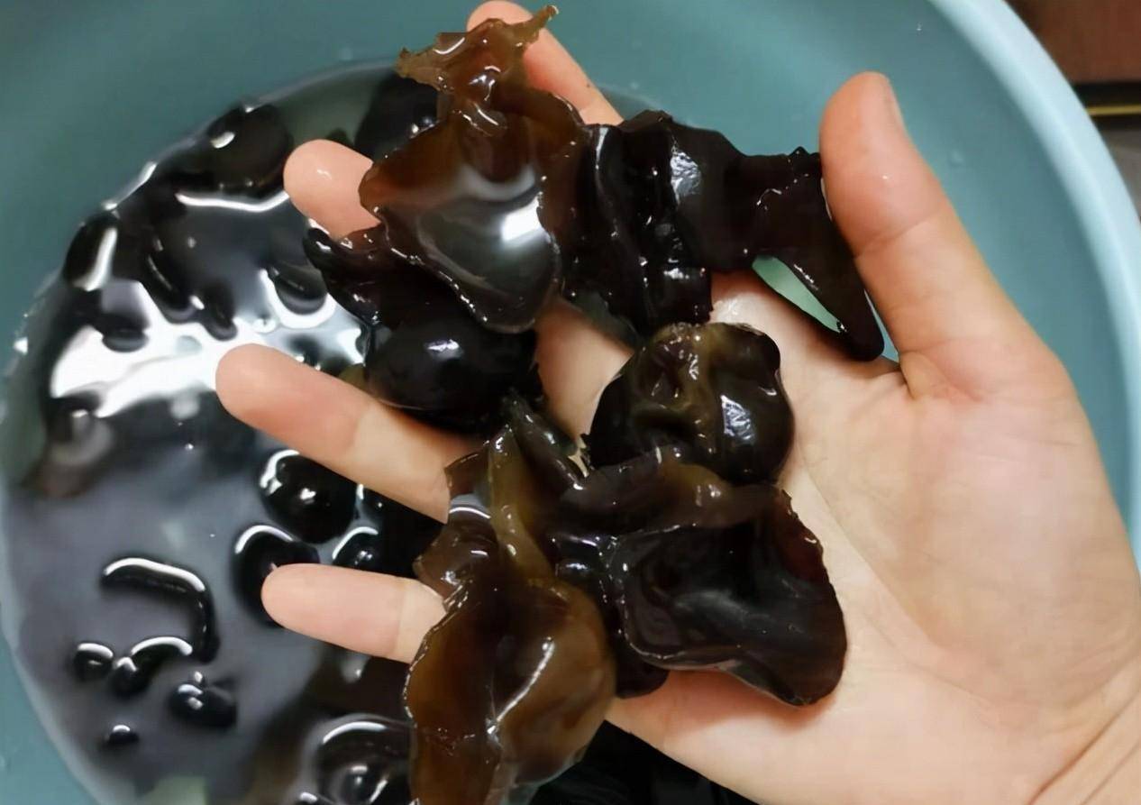 饭店泡木耳的技巧,牢记3点,5分钟就泡开,又大又干净,非常实用_真菌