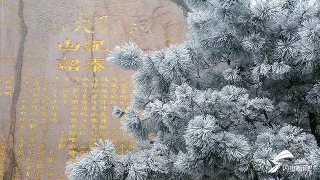 树挂冰晶山披玉衣 泰山之巅现雾凇美景_闪电_新闻_谢强玄