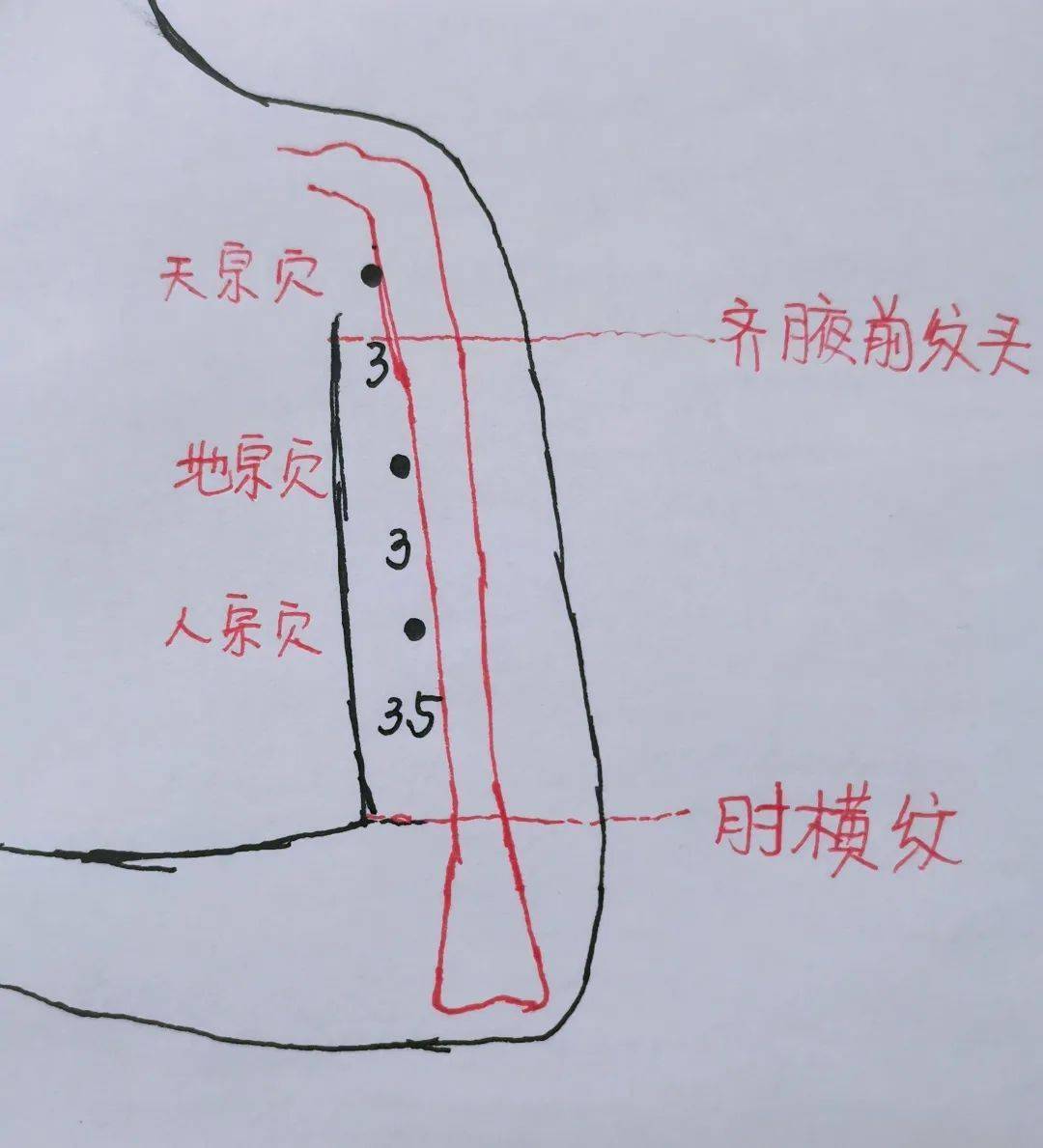 董氏双龙的准确位置图图片