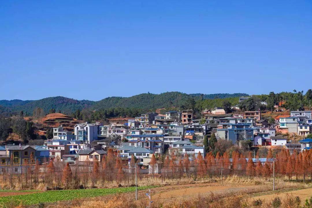 阿子营街道:文明"星"光闪耀 乡村振兴添彩_建设_评选_群众