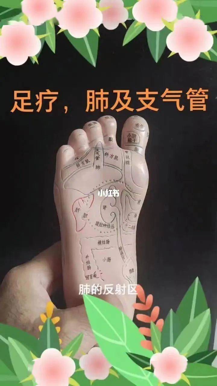 【四】肺反射区操作:涂抹介质,拇指关节从足内侧向外侧刮压(男:35下