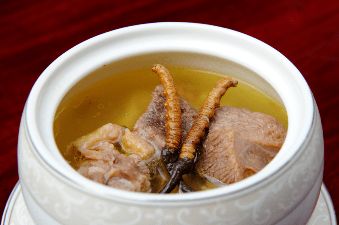 秋冬滋补的佳品——冬虫夏草 | 食补药补两相宜