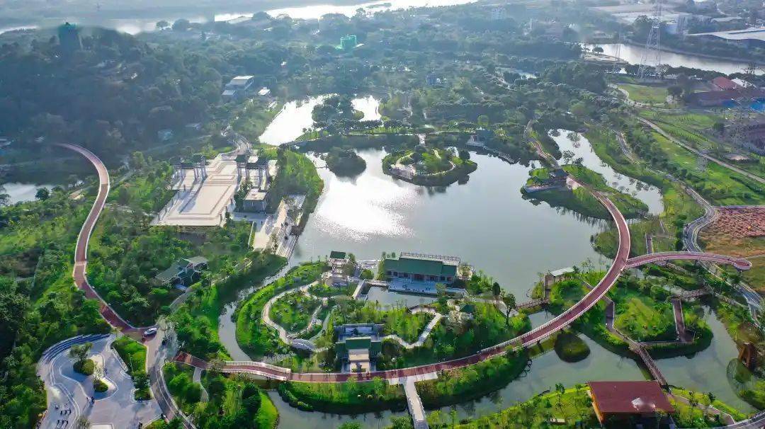 "稀客"现身亚艺湖!绿色禅城"野"趣无穷~_公园_李少文_保护