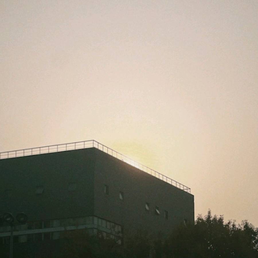 鑫心