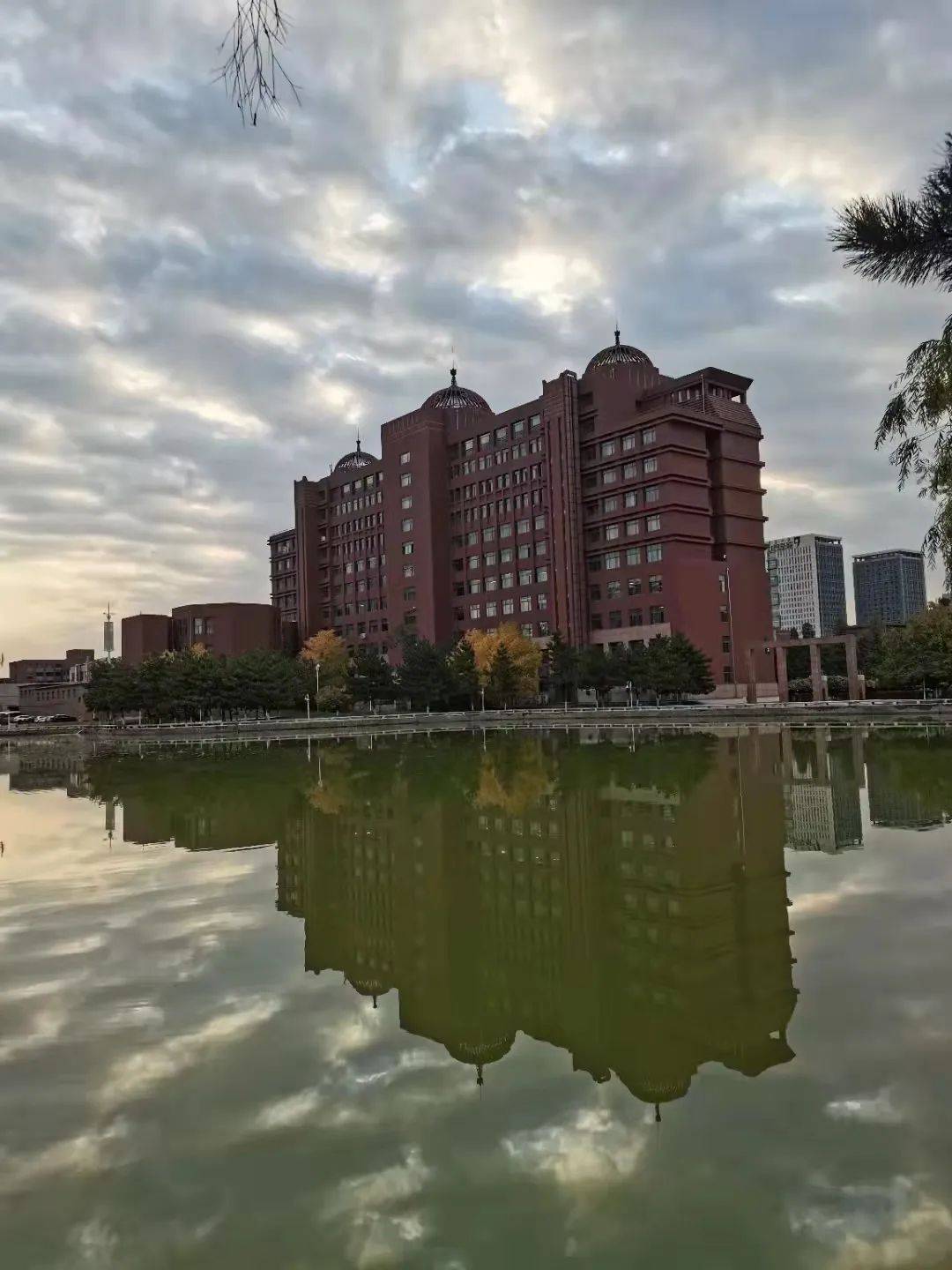 美好不期而至每一位imuer都是秋日限定内容发布【小白杨内大考研真题