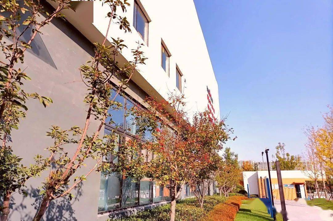 齐河教体期待您的满意61伊璞高级中学篇_教育_发展_办学