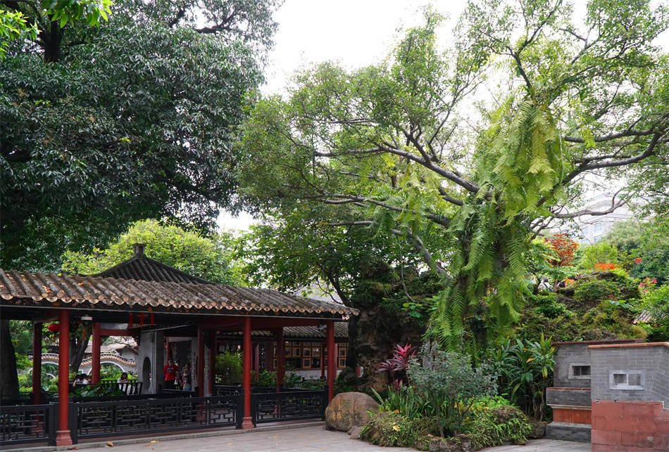 广东:岭南名园(四)列四大名园榜首之顺德清晖园_梁园_余荫_可园