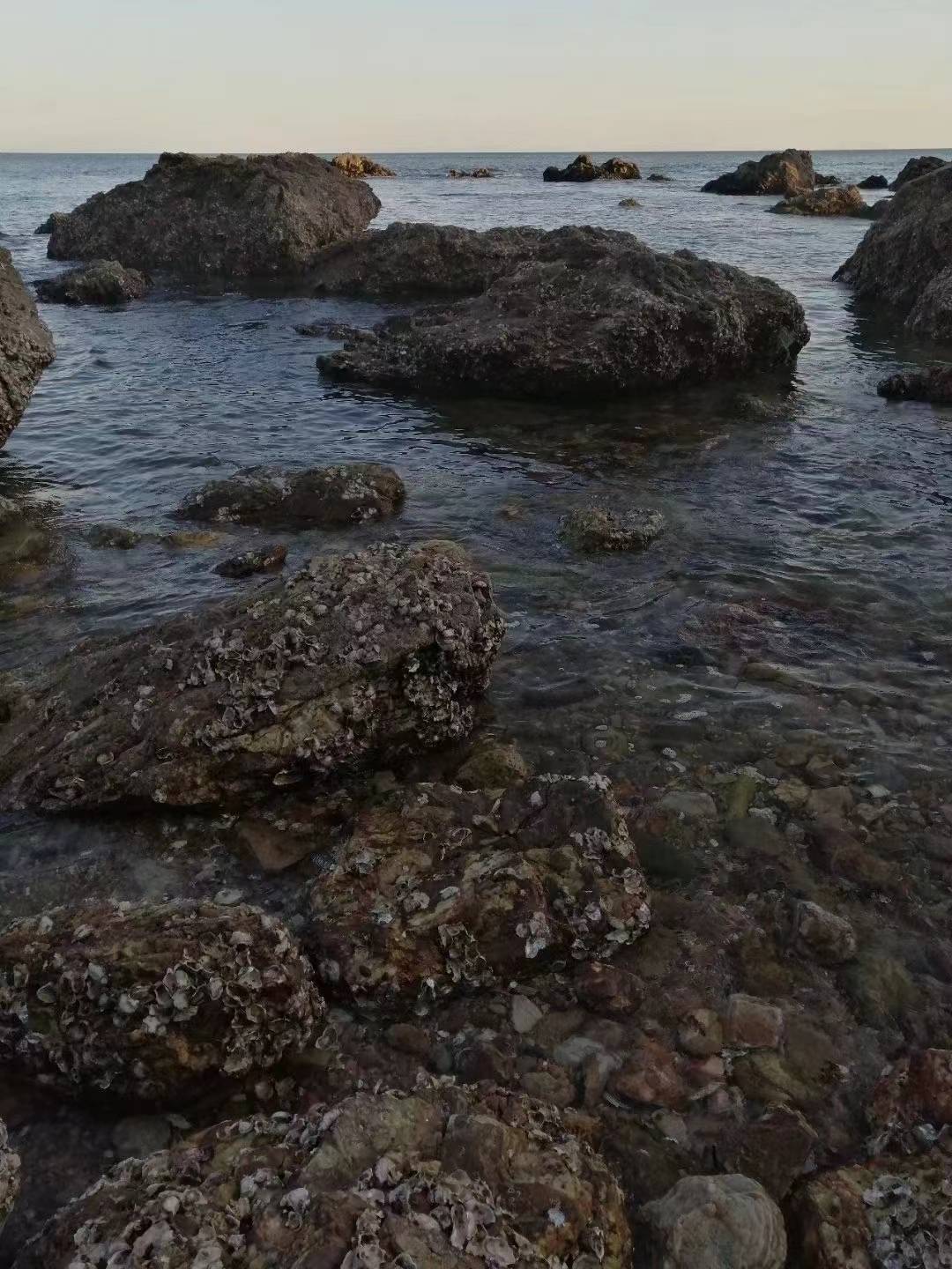 企业管理的前世 军 生 战争 战略 军队
