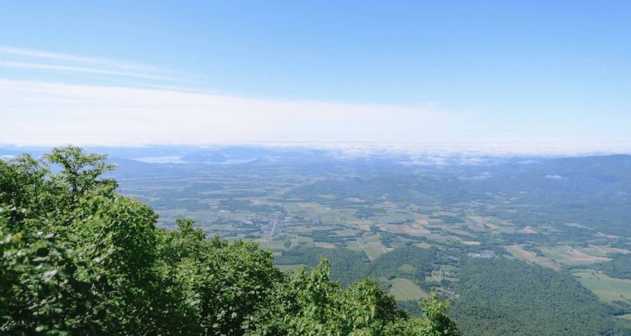 家电代理商这三年来活得怎么样?-家电圈官网