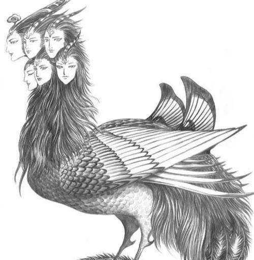 九头鸟究竟是啥?