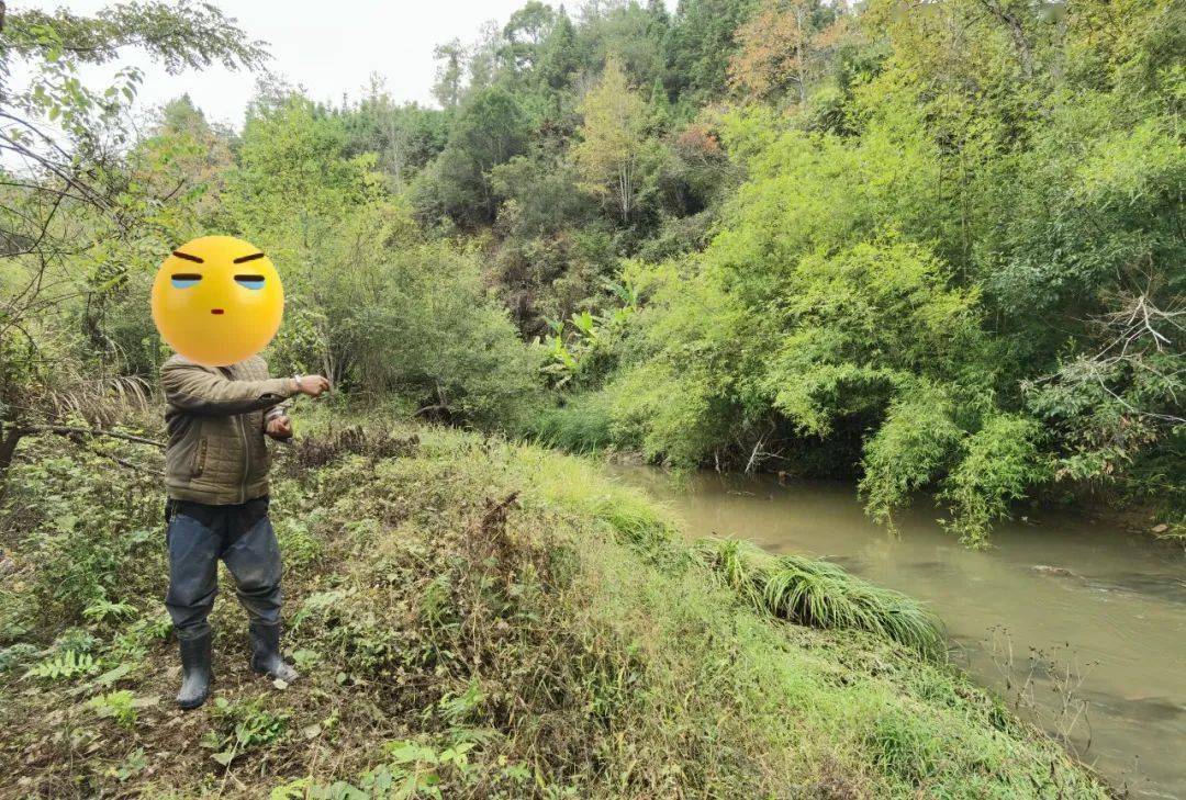 一男子晚上竟在三明溪边干这事_非法_邹某_清流县