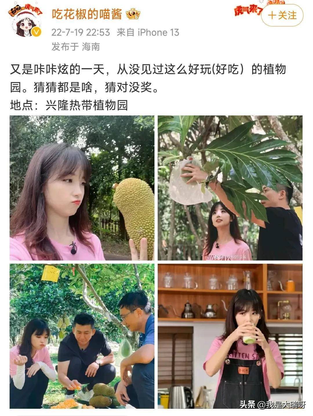 王冰冰重新回到央视上班!