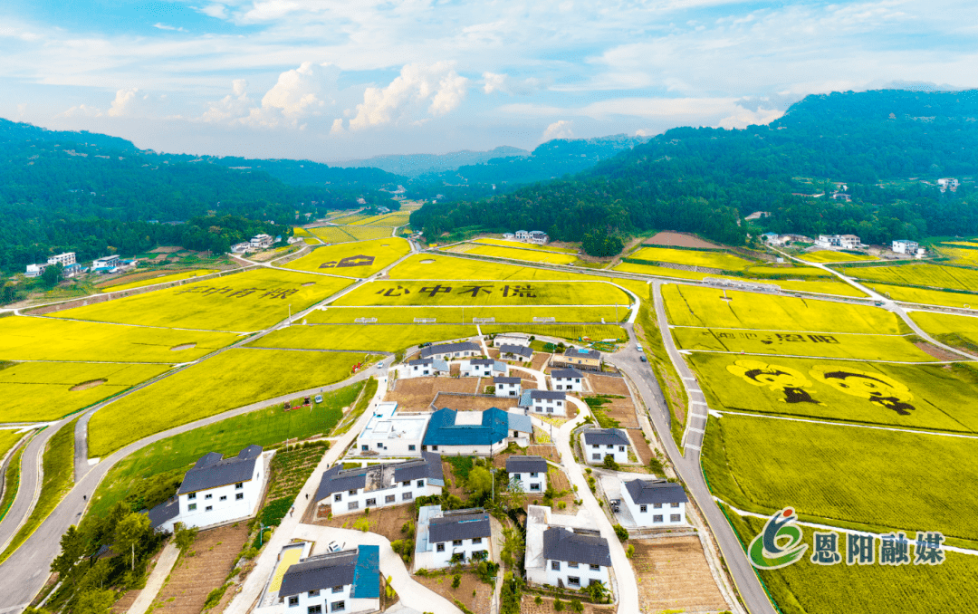 明阳镇鹿台村道地药材现代农业产业园区登科公园恩阳船说田园恩阳幸福