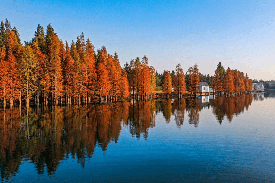 兰溪市兰湖 陆建富 摄东阳市东白山义乌市佛堂镇 王松能 摄永康市芝英