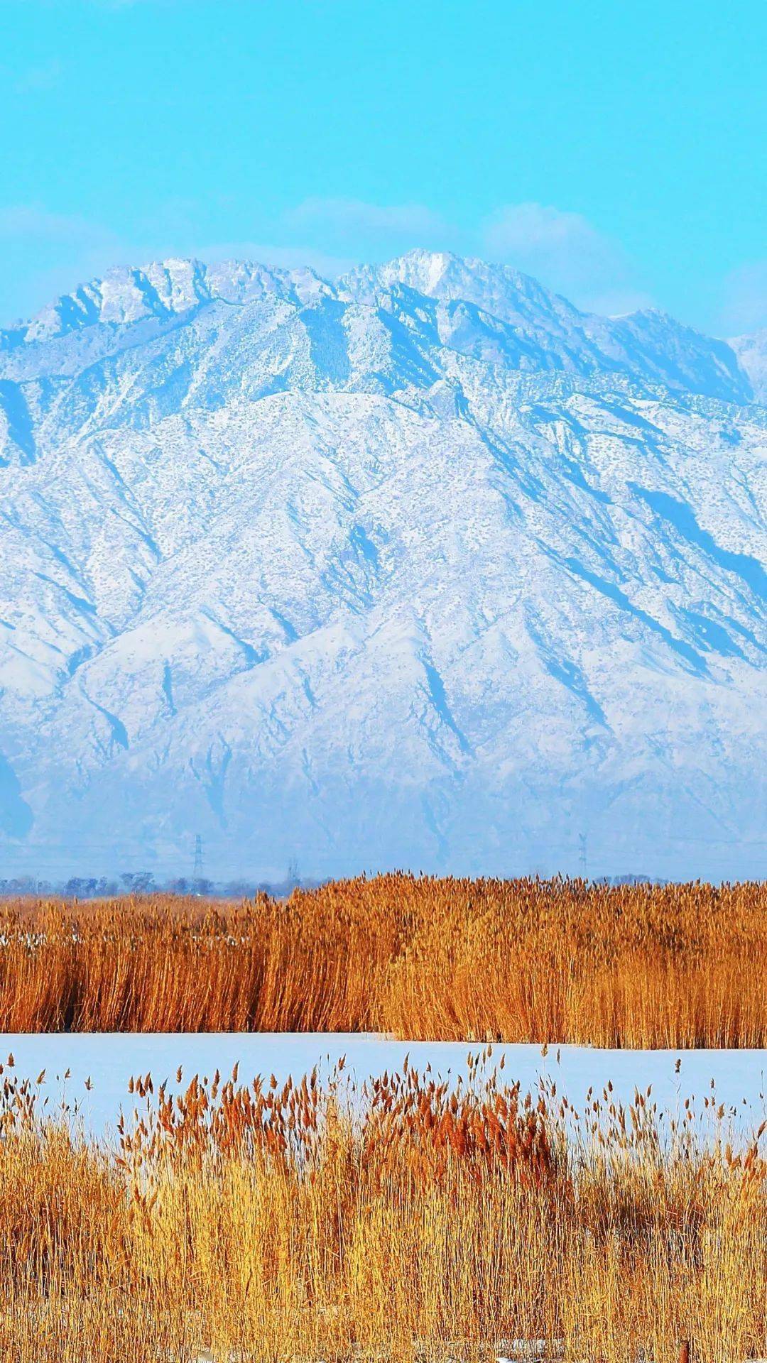 宁夏沙湖冬天图片