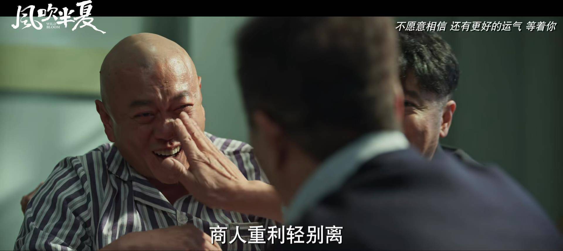 国产商战剧_风吹半夏免费观看完整版高清电视剧_女性创业剧