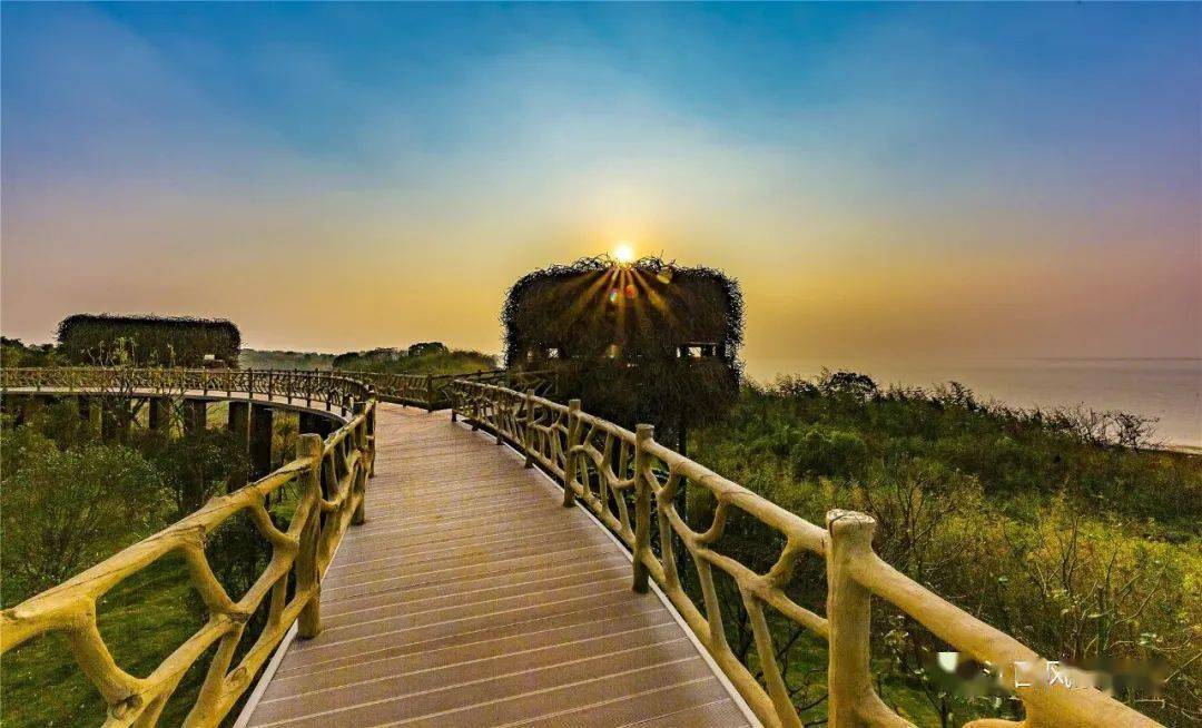 鄱阳湖湿地公园住宿图片