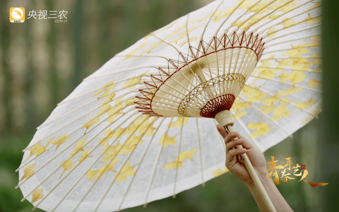 今天开播的余杭纸伞篇