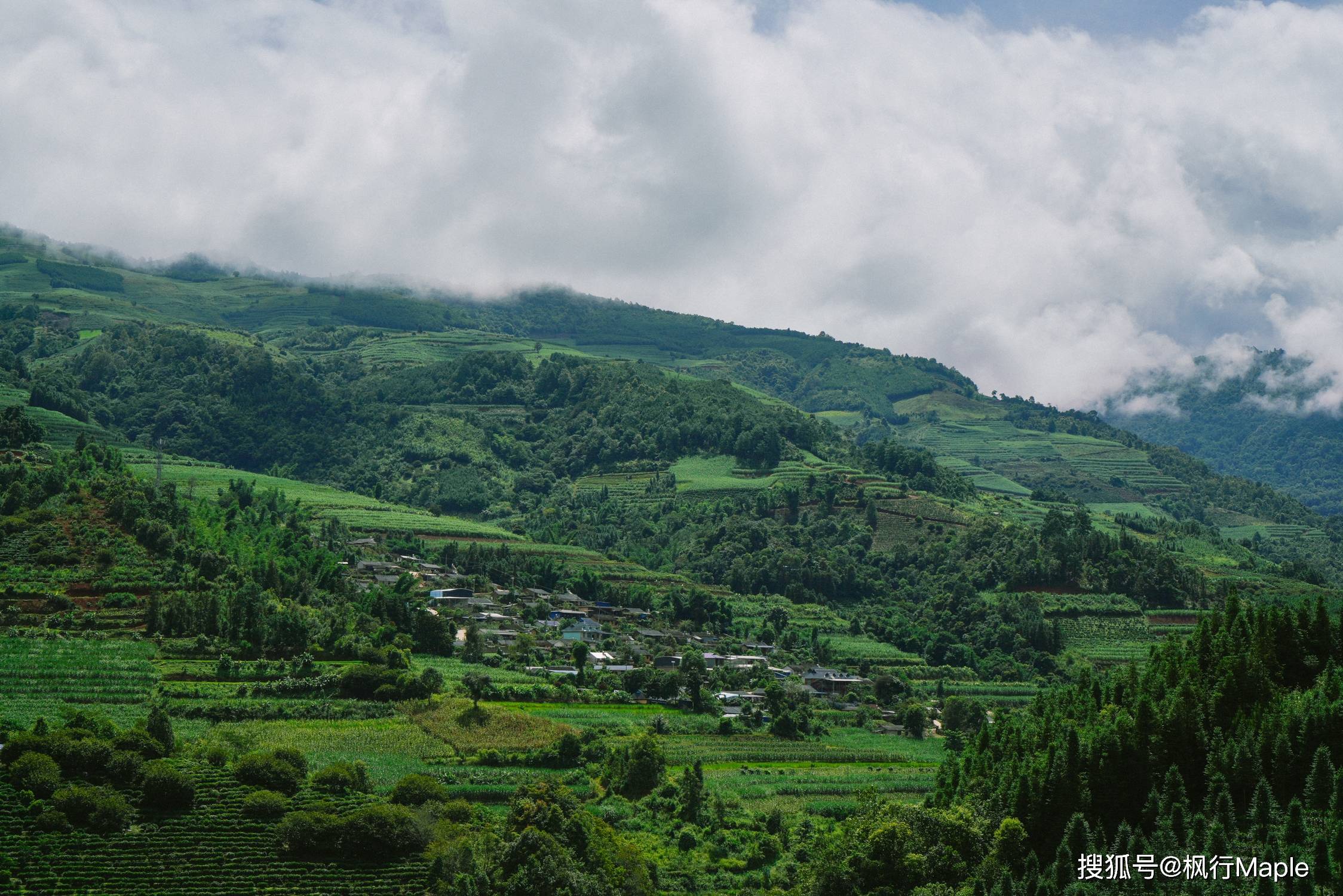 云南最美的边陲古寨,茶马古道上的百年茶山_景迈山_普洱_传统