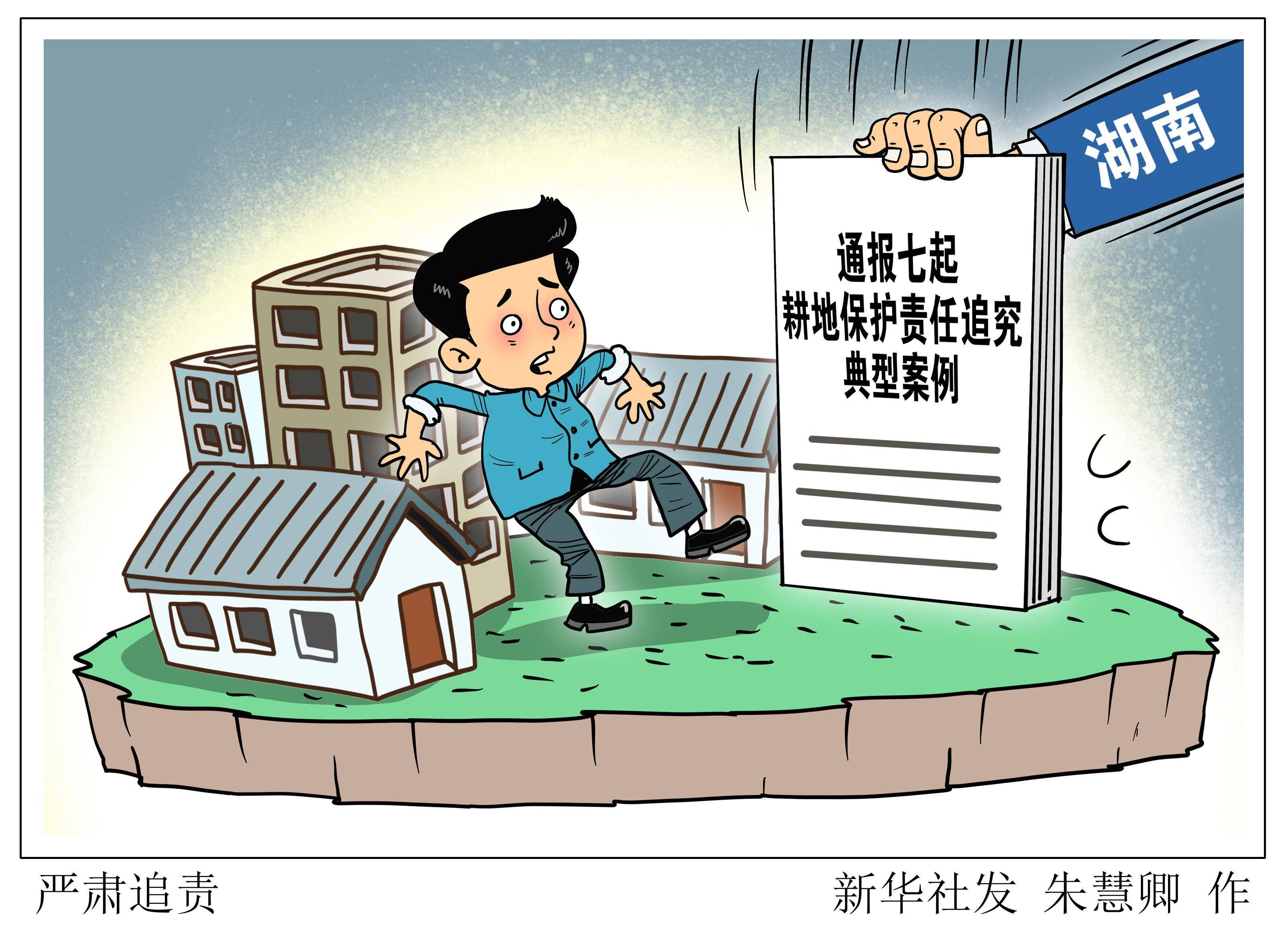 (图表·漫画)〔法治〕严肃追责_新华社_湖南省_自然资源