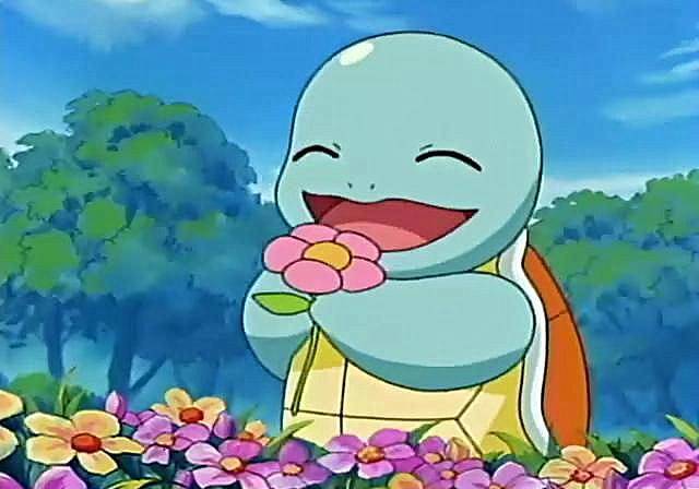 时候_杰尼龟_妙蛙种子