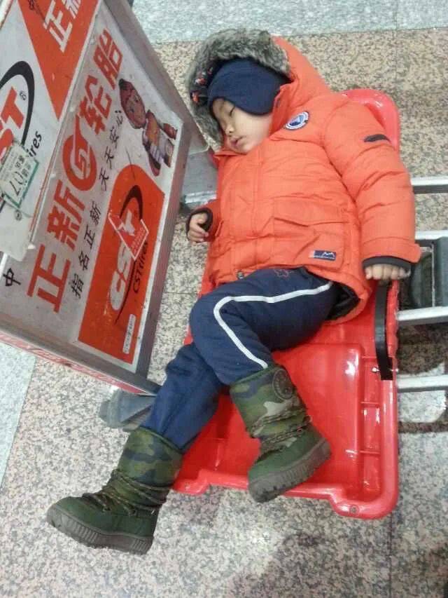 虎子妈聊养育:儿子教会我,最高级的旅行竟是足不出